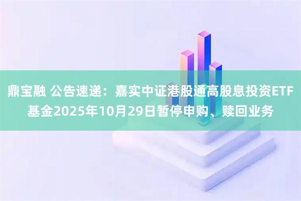 鼎宝融 公告速递：嘉实中证港股通高股息投资ETF基金2025年10月29日暂停申购、赎回业务